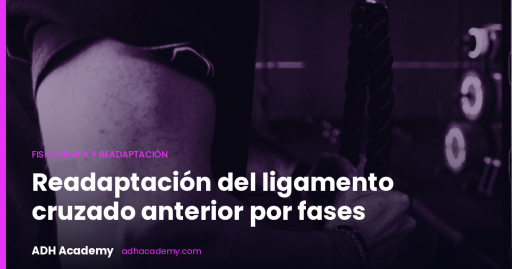 Primer plano del cuádriceps de un deportista entrenando con polea en la sala de ADH Academy, con discos y máquinas al fondo